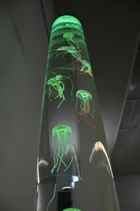 A photo of artificial green luminescent jellyfish in a tube of water.